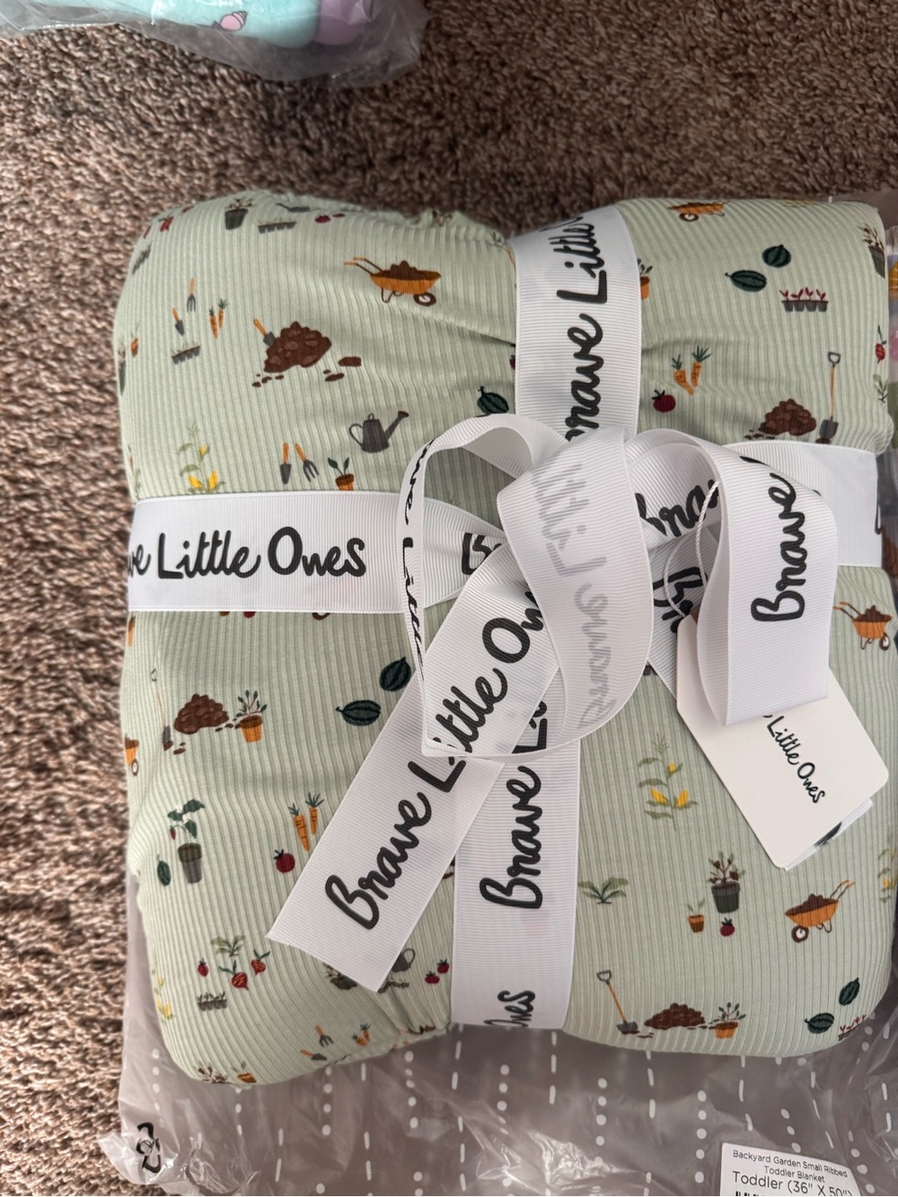 Brave little ones toddler blanket